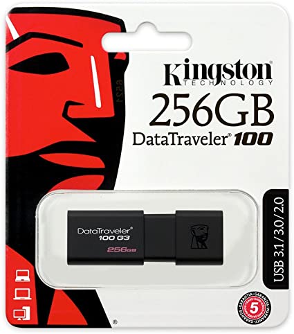 KINGSTON DATATRAVELER 100G3